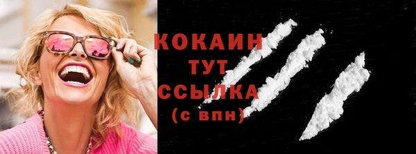 сатива Арсеньев