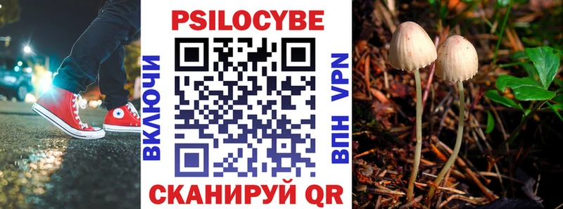дарнет шоп  Асино  hydra зеркало  Псилоцибиновые грибы прущие грибы 