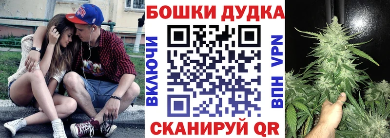 блэк спрут зеркало  Асино  Конопля тримм 